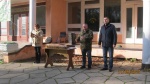 Золота агатівка 2017