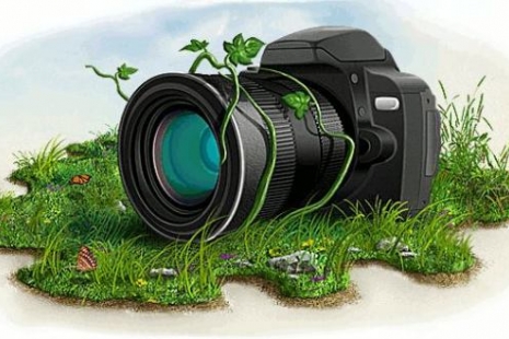 Усіх, хто любить Рівненщину, запрошуємо на фотоконкурс