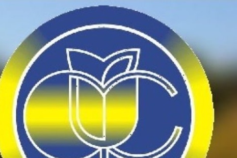 ФОНД СОЦІАЛЬНОГО СТРАХУВАННЯ УКРАЇНИ ВИКОНАВЧА ДИРЕКЦІЯ