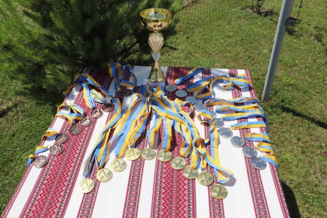 28 червня, Бугринська громада відзначала 27 річницю Конституції України.