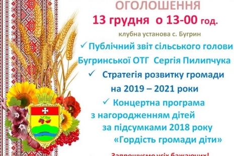 Публічний звіт сільського голови