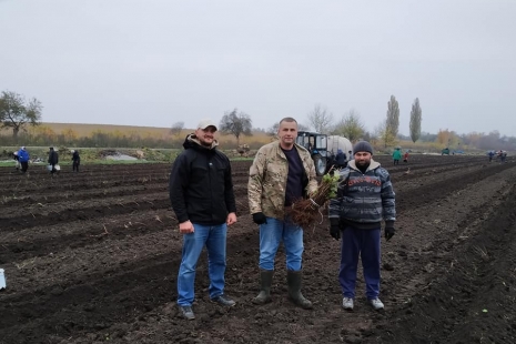 Органічна малина в Бугринській громаді!